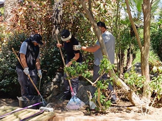Termina la primera fase del programa “Huertos Urbanos para el desarrollo sociolaboral”